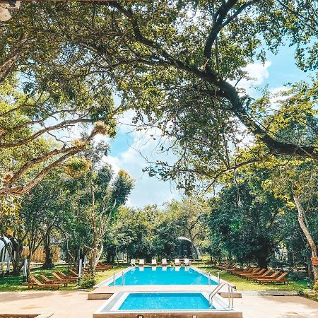 Nivadoo Resort סיגירייה מראה חיצוני תמונה The swimming pool at the hotel